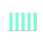 Vertical Stripes - White and Aquamarine Magnet (Name Card)