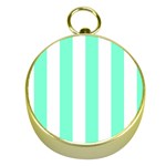 Vertical Stripes - White and Aquamarine Gold Compass