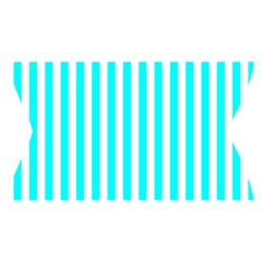 Vertical Stripes Waistband Front