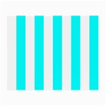 Vertical Stripes - White and Aqua Cyan Small Glasses Cloth (2 Sides)