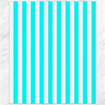 Vertical Stripes - White and Aqua Cyan Canvas 20  x 24 