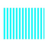 Vertical Stripes - White and Aqua Cyan Double Sided Flano Blanket (Mini)