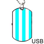 Vertical Stripes - White and Aqua Cyan Dog Tag USB Flash (Two Sides)