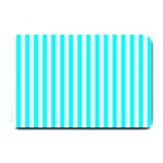 Vertical Stripes - White and Aqua Cyan Small Doormat