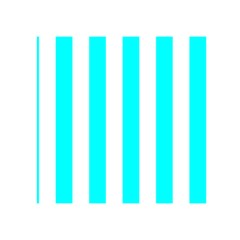 Vertical Stripes Front Inside