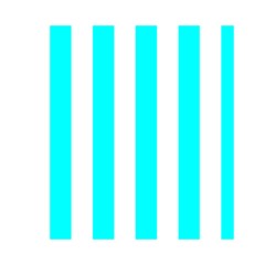 Vertical Stripes Front Inside