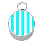Vertical Stripes - White and Aqua Cyan Silver Compass (Mini)