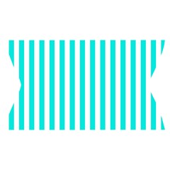 Vertical Stripes Waistband Front