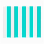Vertical Stripes - White and Bright Turquoise Small Glasses Cloth (2 Sides)