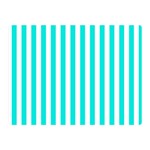 Vertical Stripes - White and Bright Turquoise Double Sided Flano Blanket (Mini)