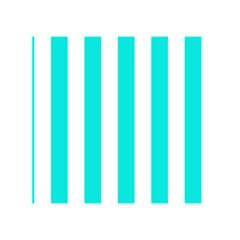 Vertical Stripes Back Inside