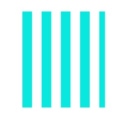 Vertical Stripes Back Cover