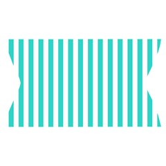 Vertical Stripes Waistband Front