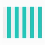 Vertical Stripes - White and Turquoise Small Glasses Cloth