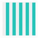 Vertical Stripes - White and Turquoise Medium Glasses Cloth (2 Sides)