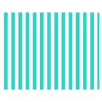 Vertical Stripes - White and Turquoise Double Sided Flano Blanket (Medium)