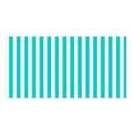 Vertical Stripes - White and Cyan Satin Shawl
