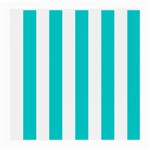 Vertical Stripes - White and Cyan Medium Glasses Cloth (2 Sides)
