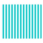 Vertical Stripes - White and Cyan Double Sided Flano Blanket (Small)