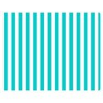 Vertical Stripes - White and Cyan Double Sided Flano Blanket (Medium)