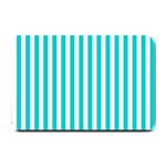 Vertical Stripes - White and Cyan Small Doormat