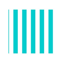 Vertical Stripes Front Cover