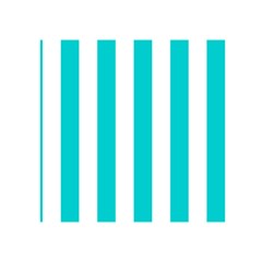 Vertical Stripes Front Inside