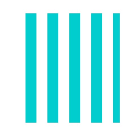 Vertical Stripes Front Inside