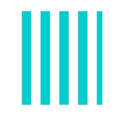 Vertical Stripes Front Inside