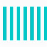 Vertical Stripes - White and Cyan 5  x 7  Photo Cards