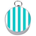 Vertical Stripes - White and Cyan Silver Compass