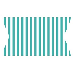 Vertical Stripes Waistband Front