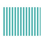 Vertical Stripes - White and Verdigris Double Sided Flano Blanket (Mini)