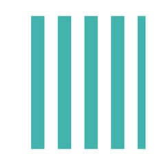 Vertical Stripes Front Inside