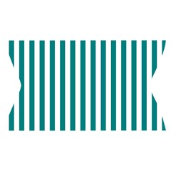 Vertical Stripes Waistband Front