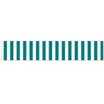 Vertical Stripes - White and Teal Flano Scarf (Large)