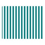 Vertical Stripes - White and Teal Double Sided Flano Blanket (Large)