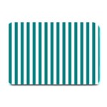 Vertical Stripes - White and Teal Plate Mat