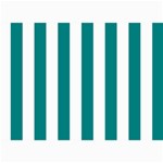 Vertical Stripes - White and Teal 5  x 7  Photo Cards