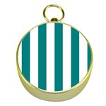Vertical Stripes - White and Teal Gold Compass