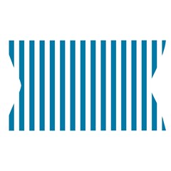 Vertical Stripes Waistband Front