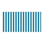 Vertical Stripes - White and Cerulean Satin Shawl
