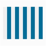 Vertical Stripes - White and Cerulean Small Glasses Cloth