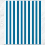 Vertical Stripes - White and Cerulean Canvas 20  x 24 