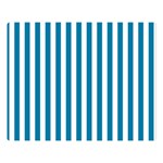 Vertical Stripes - White and Cerulean Double Sided Flano Blanket (Large)