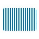 Vertical Stripes - White and Cerulean Plate Mat
