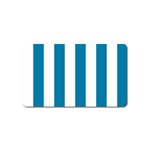 Vertical Stripes - White and Cerulean Magnet (Name Card)