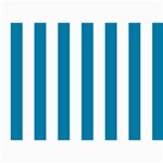 Vertical Stripes - White and Cerulean 5  x 7  Photo Cards