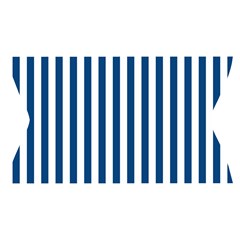 Vertical Stripes Waistband Front