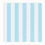 Vertical Stripes - White and Light Blue Medium Glasses Cloth